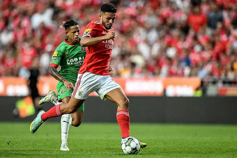 包含里程碑夜布莱顿伤情更新，葡超今夜刷纪录，质疑声仍在，数据趋势出现新变化的词条