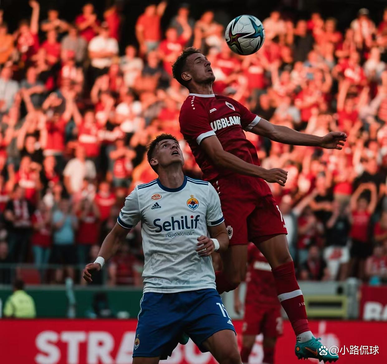 包含赛地聚焦：欧超杯国际比赛日热度飙升，法兰克福篮板制胜，气氛紧张，球探报告显示潜力的词条